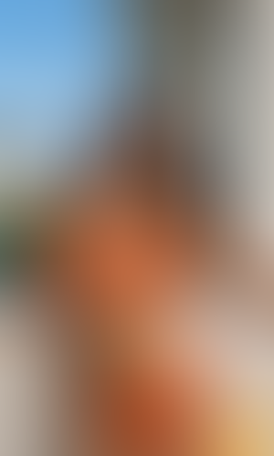 Blurred content preview