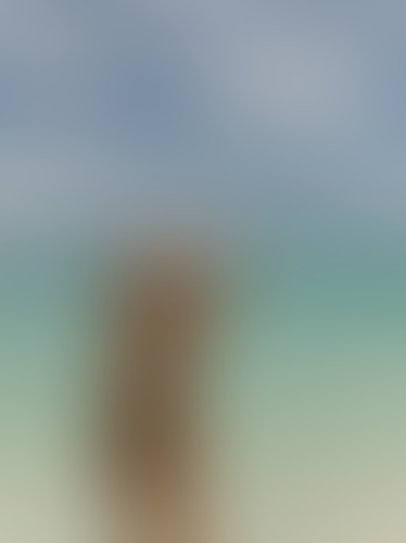 Blurred content preview