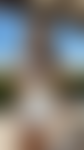 Blurred content preview