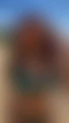 Blurred content preview
