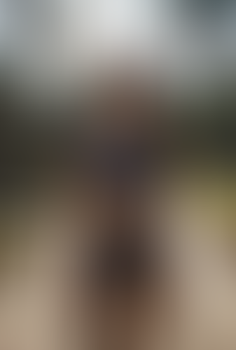 Blurred content preview
