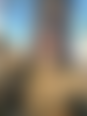 Blurred content preview
