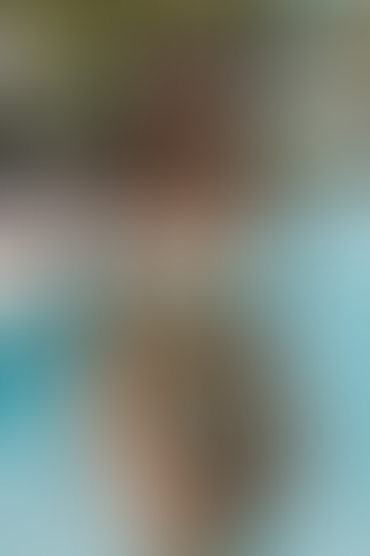Blurred content preview