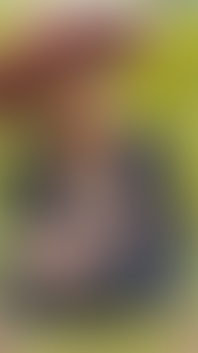 Blurred content preview