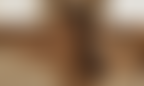 Blurred content preview