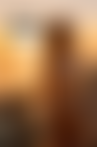 Blurred content preview