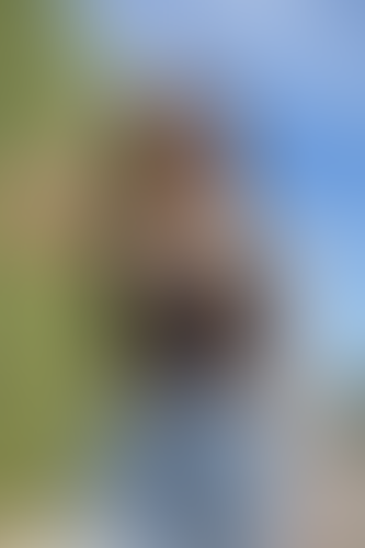 Blurred content preview