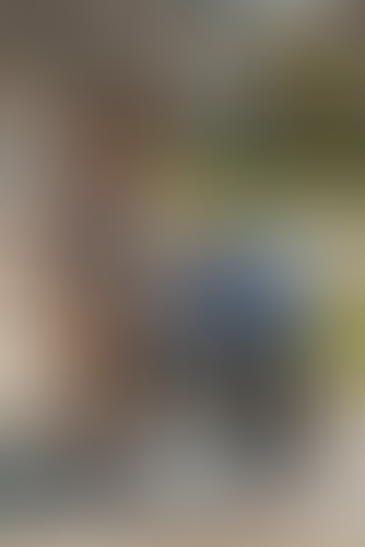 Blurred content preview