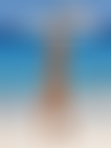 Blurred content preview