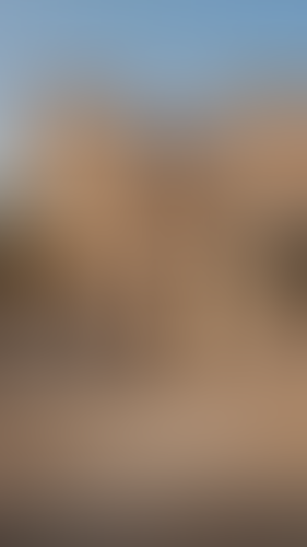 Blurred content preview