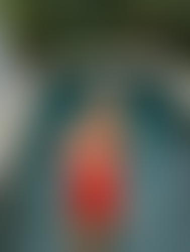 Blurred content preview