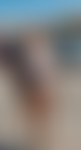 Blurred content preview