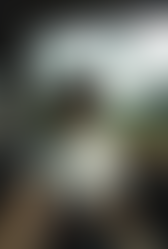 Blurred content preview