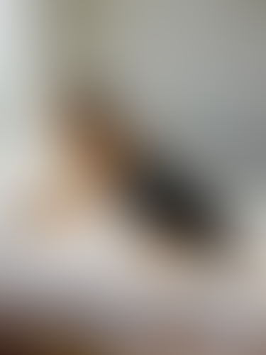 Blurred content preview