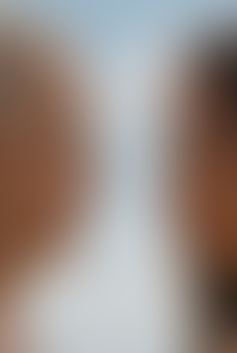 Blurred content preview