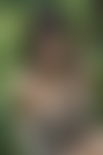 Blurred content preview