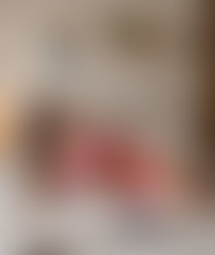 Blurred content preview