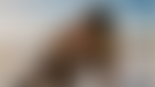 Blurred content preview