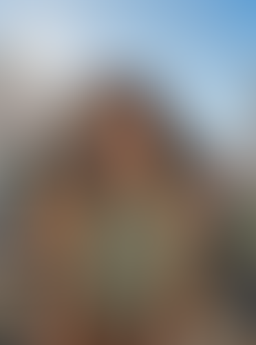 Blurred content preview