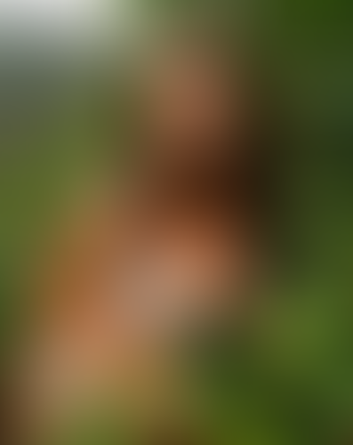 Blurred content preview