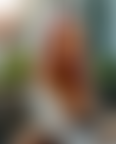 Blurred content preview