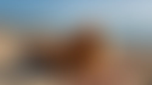Blurred content preview