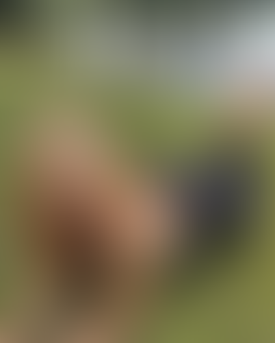 Blurred content preview