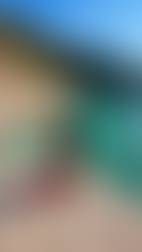 Blurred content preview