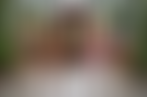 Blurred content preview