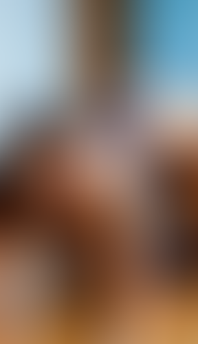 Blurred content preview