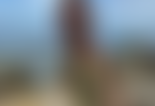 Blurred content preview