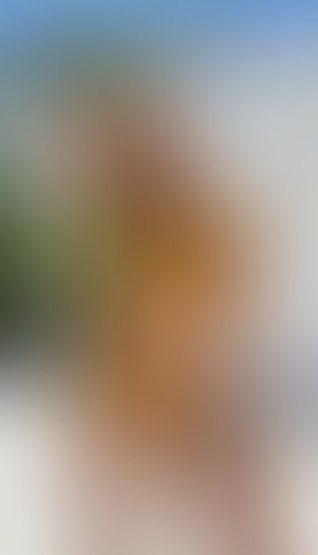 Blurred content preview