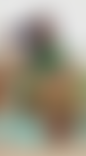Blurred content preview