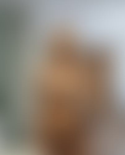 Blurred content preview