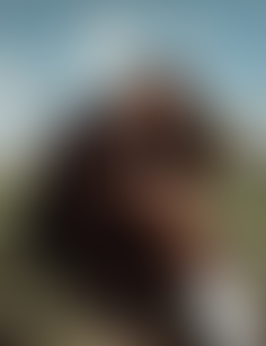 Blurred content preview
