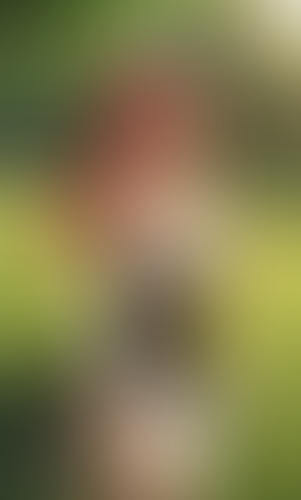 Blurred content preview