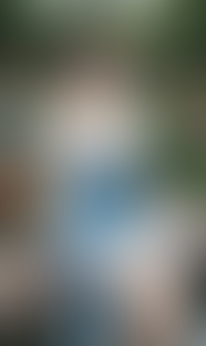 Blurred content preview