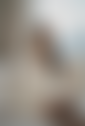 Blurred content preview