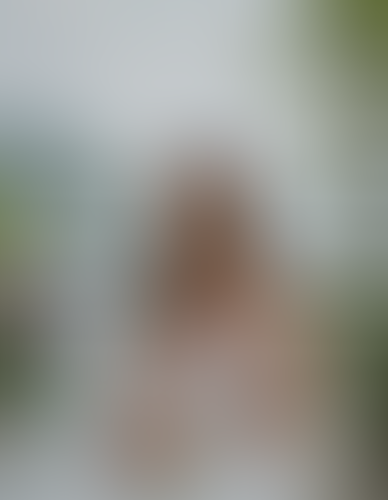 Blurred content preview